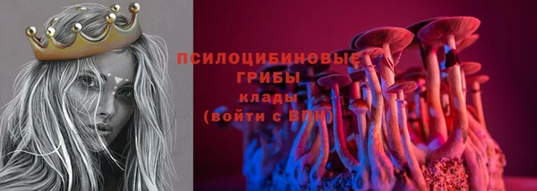 молекула духа Пересвет