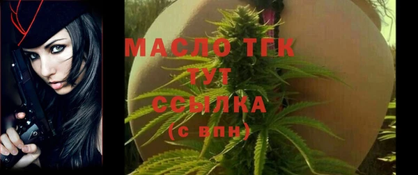 молекула духа Пересвет