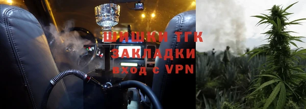 молекула духа Пересвет