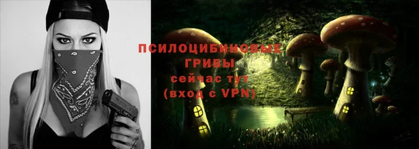 молекула духа Пересвет