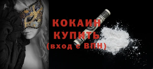 молекула духа Пересвет