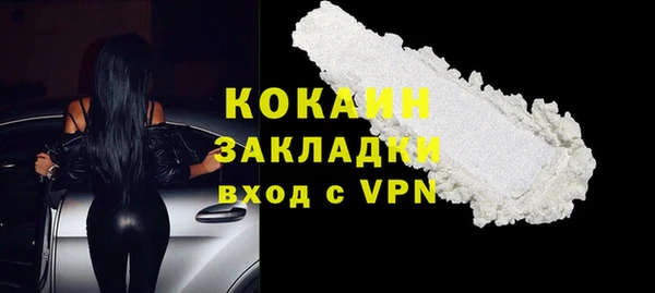 молекула духа Пересвет