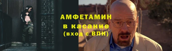 молекула духа Пересвет
