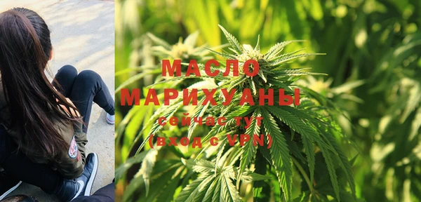 молекула духа Пересвет