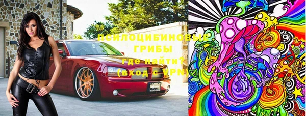 молекула духа Пересвет